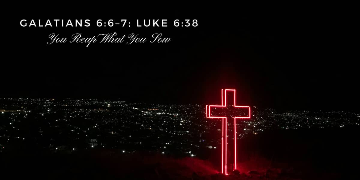 You Reap What You Sow