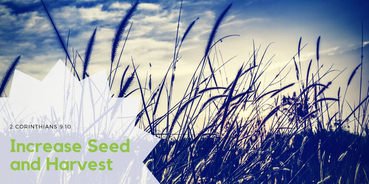 Increase Seed and Harvest